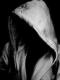 الصورة الرمزية ghost_845
